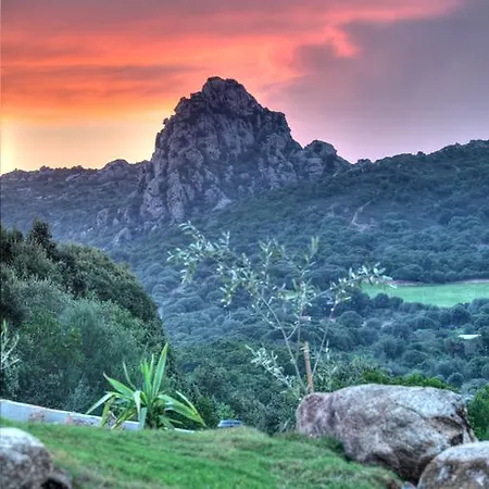 Country house Park Country Olbia